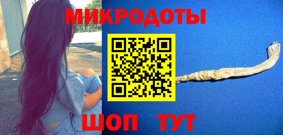 Галлюциногенные грибы Psilocybe Новоалтайск