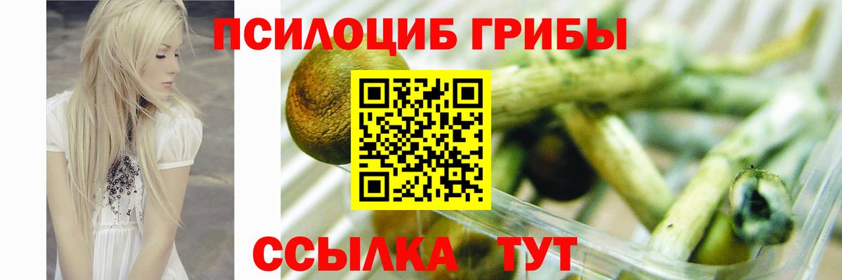 Галлюциногенные грибы мухоморы  Псилоцибиновые грибы Magic Shrooms  Вход с VPN  Новоалтайск 